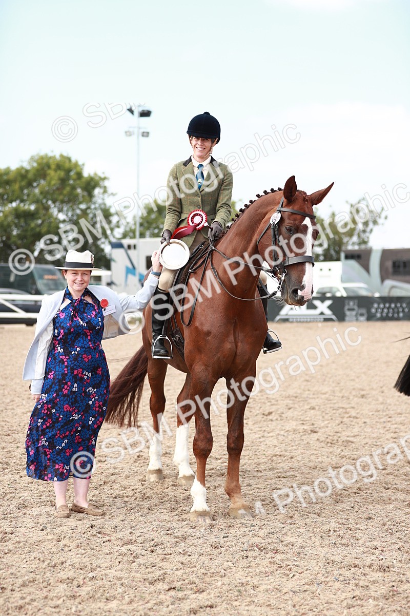 SBM_15546 - Class 213 Ridden Hunter -Large