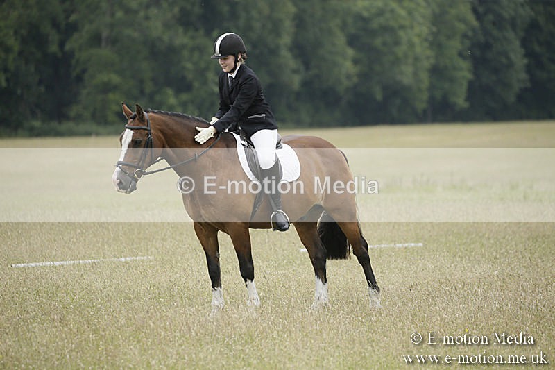 B230619-0679 - Bourne Valley Riding Club Summer Show 23/06/19