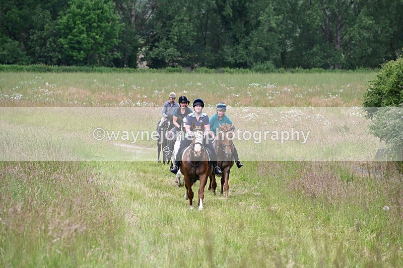 WJ6_8170 - Camera 1 Gallops