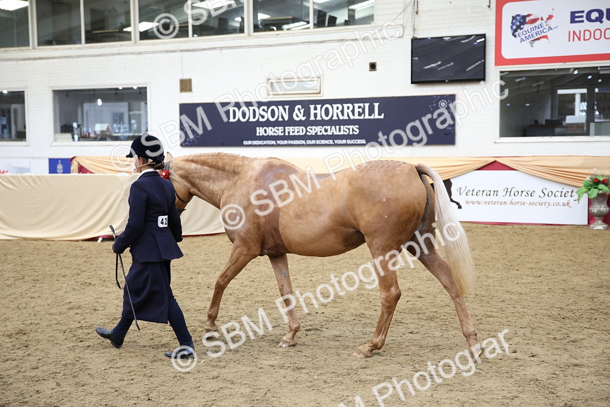 SBM_24749 - Class 906 - Supreme Final - Ridden Pre Vet
