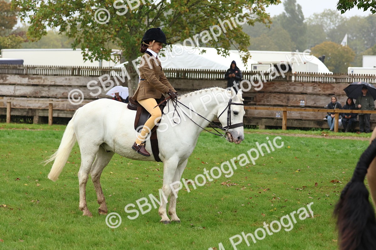 SBM_73052 - S63 Show Pony & Show Hunter Pony Ridden