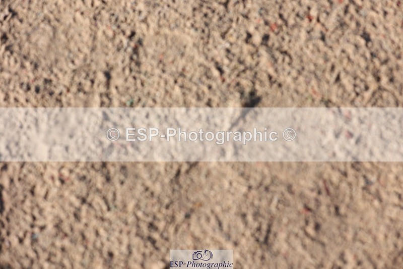 250427-084814-14656 - Cls 28 Young Horse 5yr old