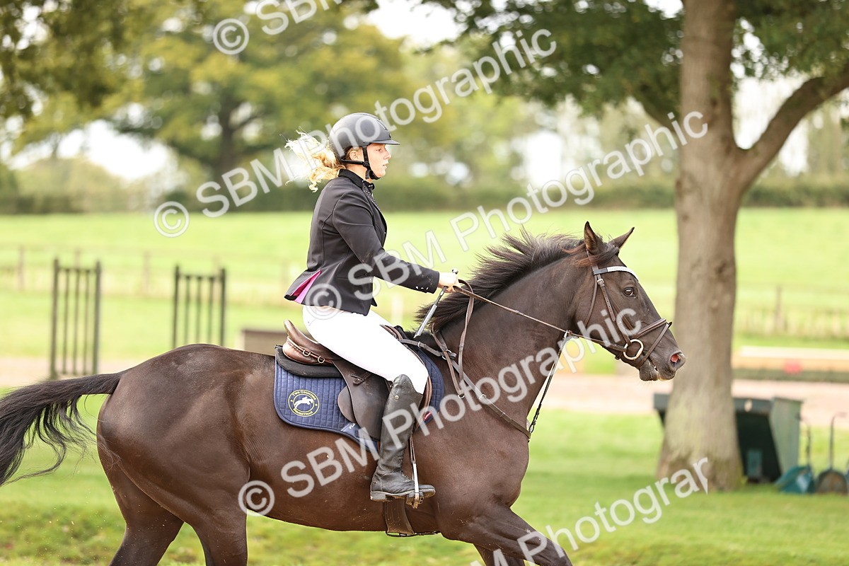 SBM_58467 - J41 - Grand Tour Horse & Pony 95cm