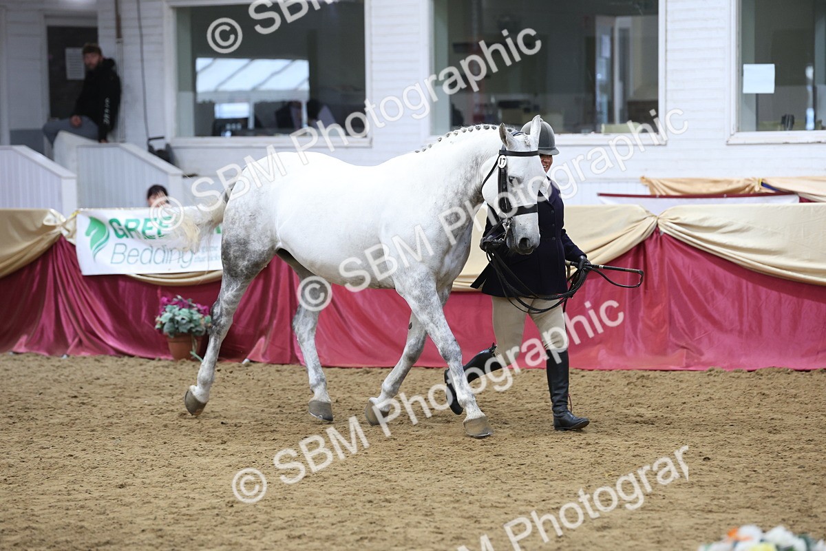 SBM_23641 - class 906 - Supreme Final - Ridden Pre Vet
