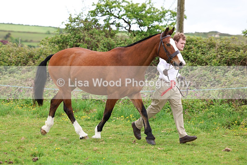 3E7A0753 - In Hand Championship