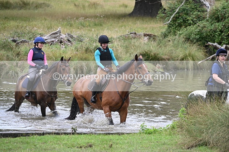 WJ7_3688 - Time at Water 12:15 to 12:50