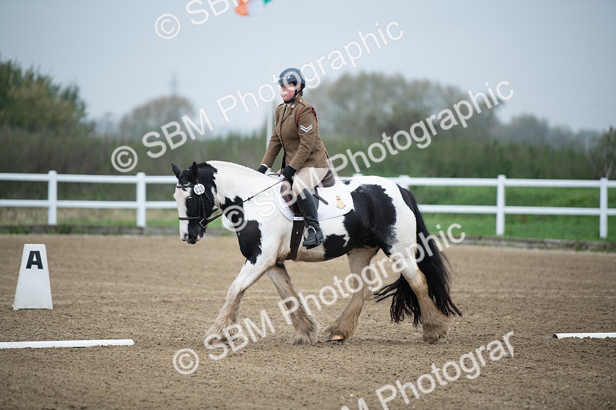 SBM_003435 - Introductory Test 3