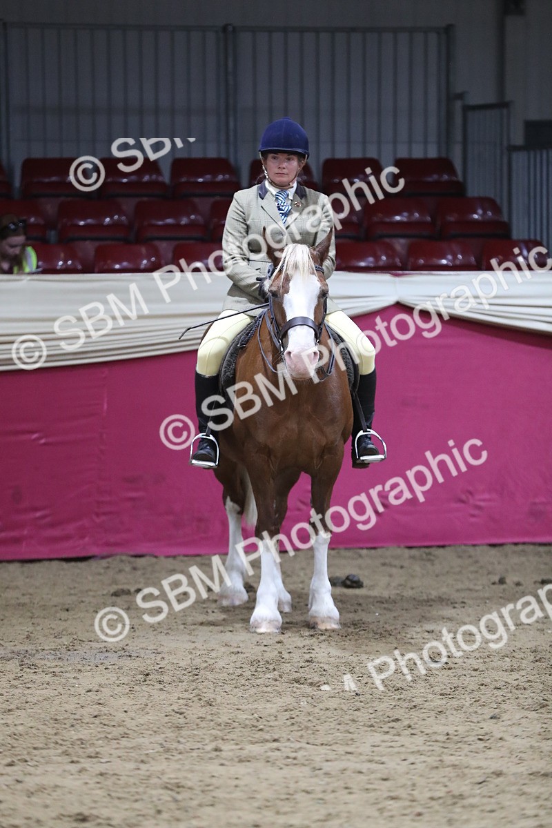 SBM_08459 - Class 11R Regional Ridden Veteran