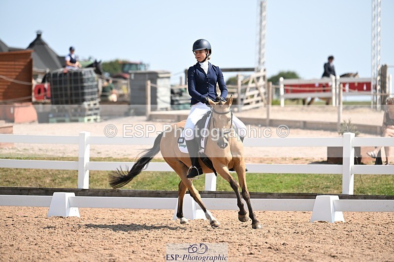 250816-120128-04400 - 060-Felicity.HendySheepcote.Champion.Star