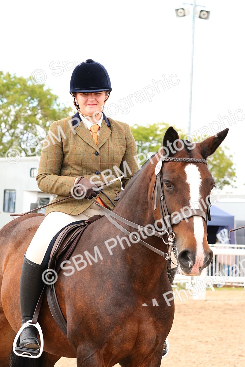 SBM_15520 - Class 214 - Ridden Show Cob