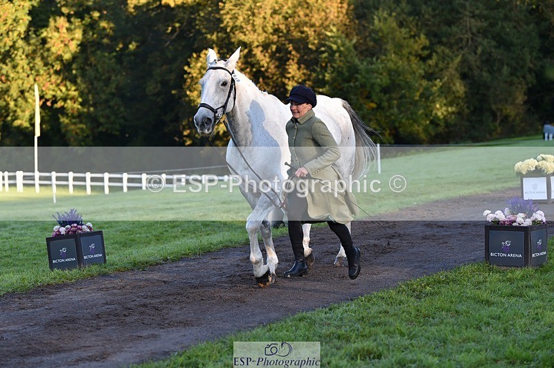 231022-085500-21445 - 618-LORD.PICTON.FREESTYLE-Penny.Corbett-TrotUp+SJ