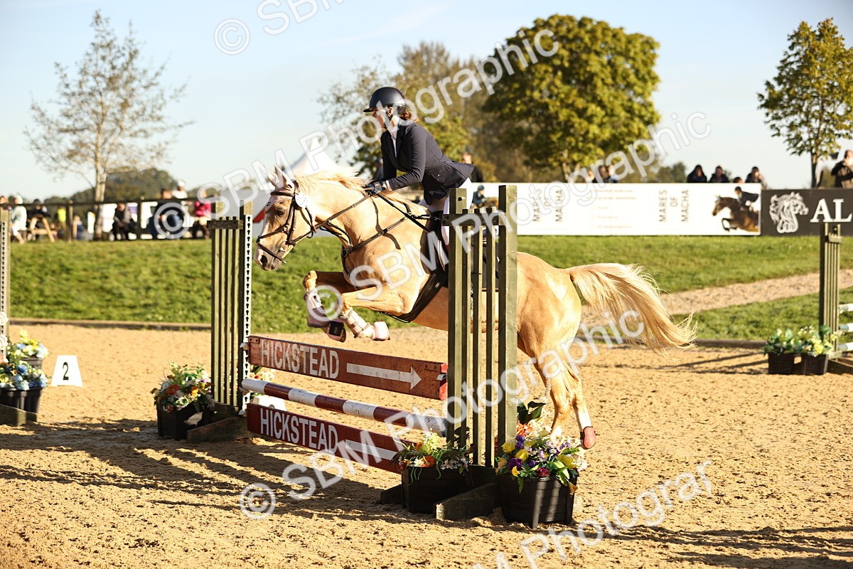 SBM_34613 - J38 - Senior 80cm Championship