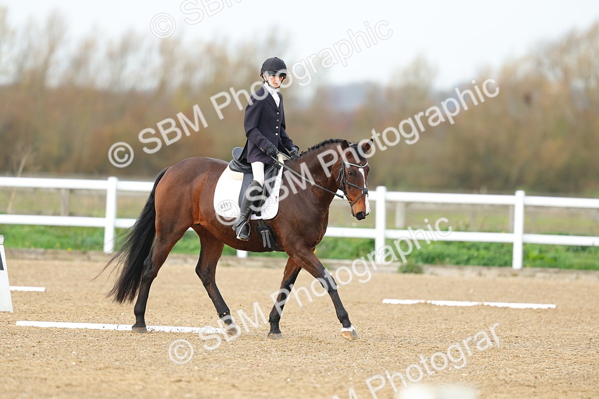 SBM_003523 - Class 6 - Novice 2