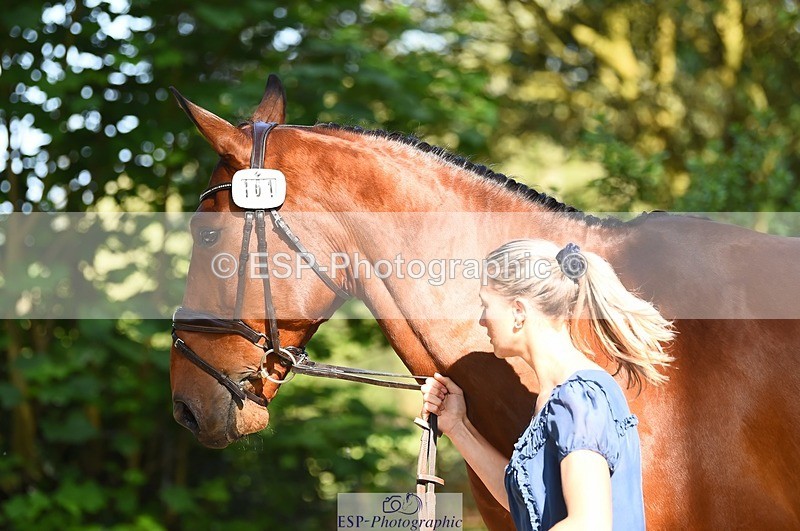 230524-171330-01367 - 161-HEADS_UP-Jemima_Howden-WEDTrotUp+DR