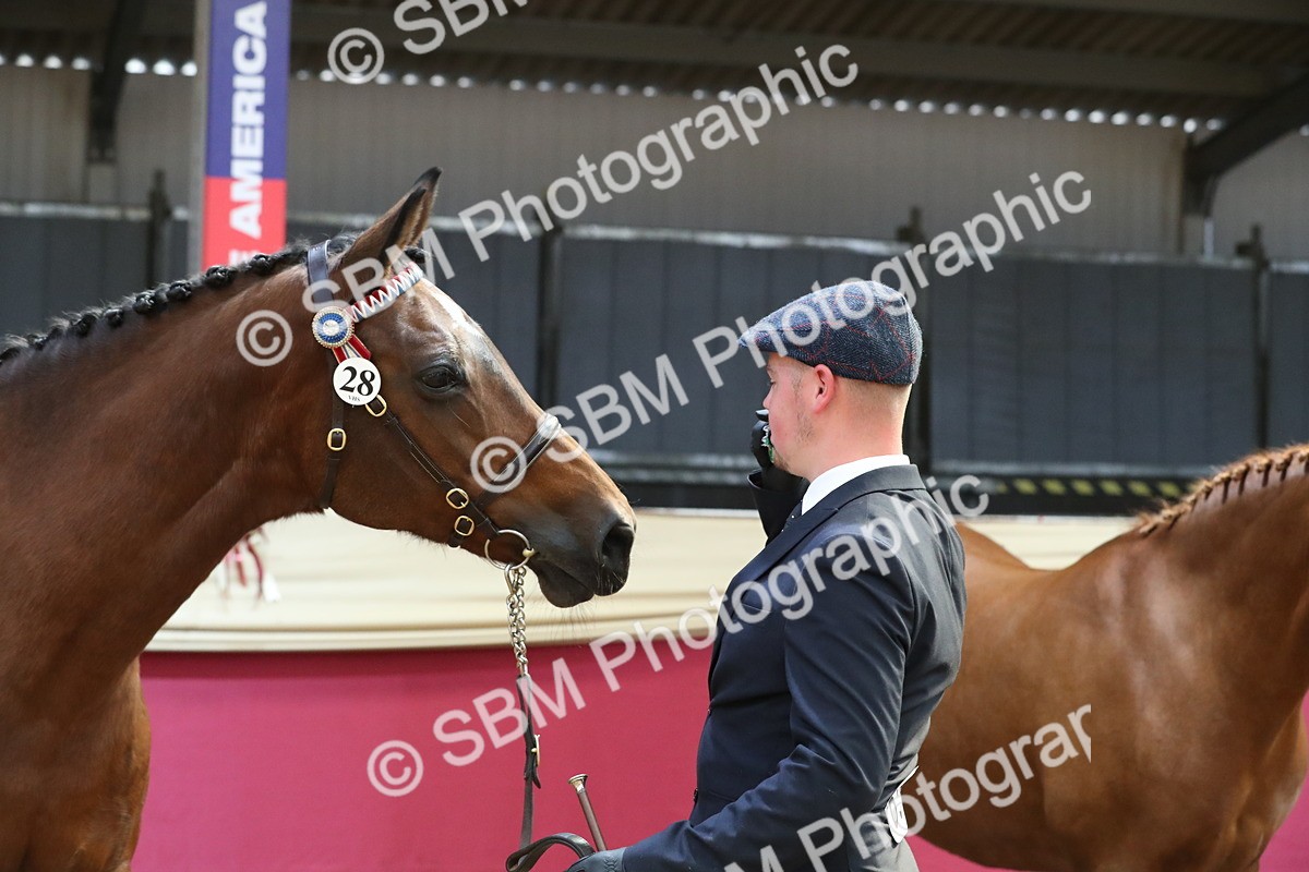 SBM_04432 - Class 7R Regional - IH Diamond