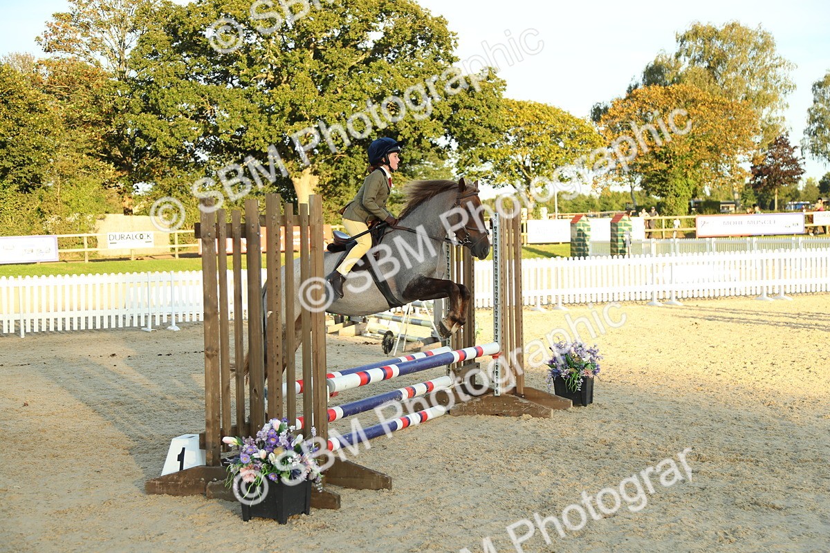 SBM_53912 - J8 - Junior Pony 65cm Championship