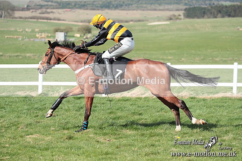 PtP 230324 578 - Tedworth Hunt PtP Larkhill Raccourse 23rd March 2024