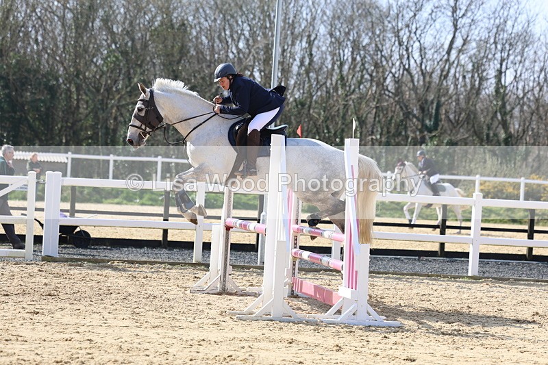 3E7A6516 - Class 4: Senior British Novice/90cm open
