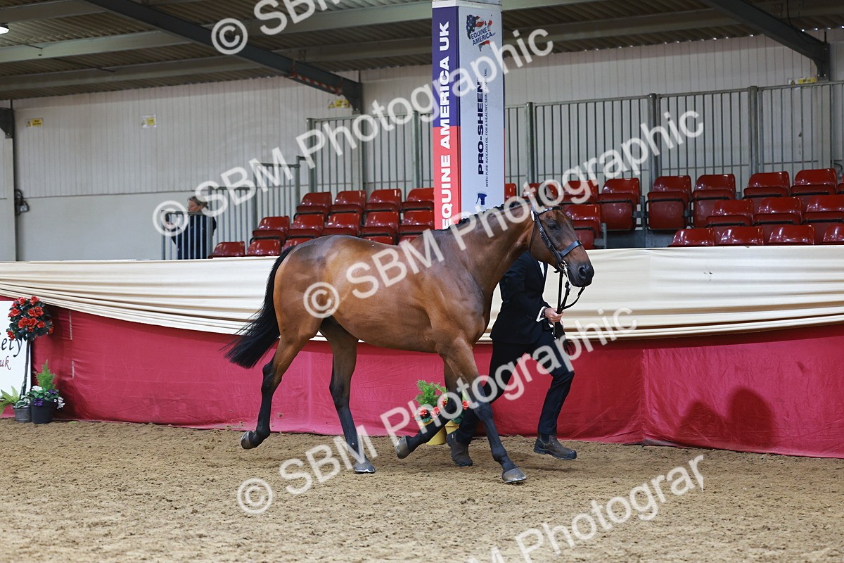 SBM_23193 - Class 903 - Supreme Final - IH Pre Vet