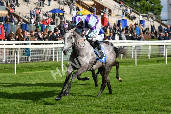 yr22052021r7-37 - Race 7 5.25pm Hudson Quarter York Palace Capital Stakes - Gentleman Amateur Riders Race