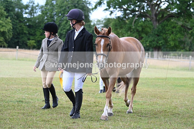 WJ7_7290 - Champs