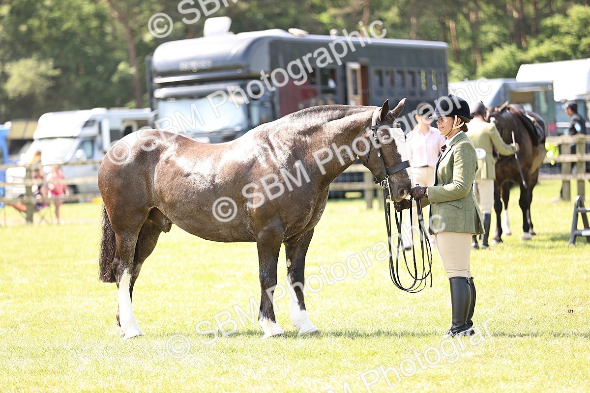 SBM_13816 - Class 77 - LIHS BSHA Rising Star Cobs