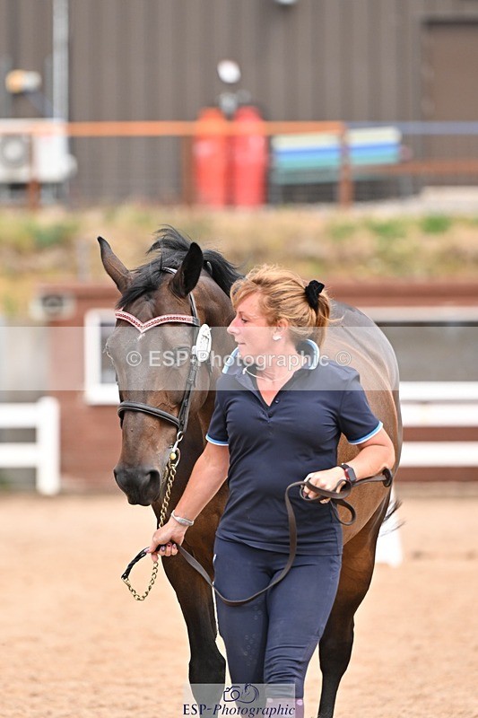 250716-153653-02050 - Trot Up 3.30 to 4.30