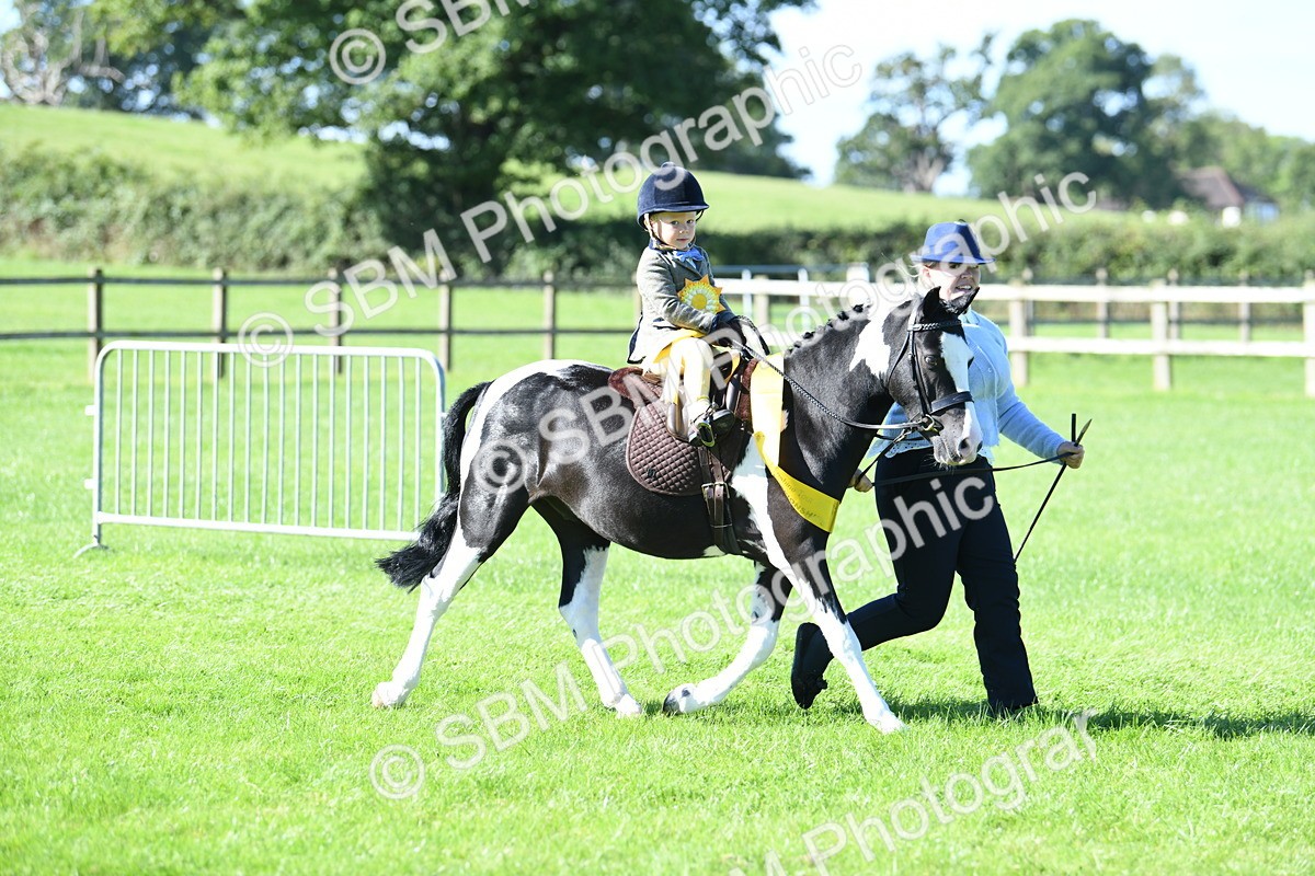 SBM_37101 - S18 - Novice & Newcomers Lead Rein Pony