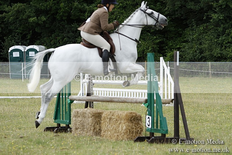 BVR160717-1736 - Ring 3 BVRC Show 16/07/17