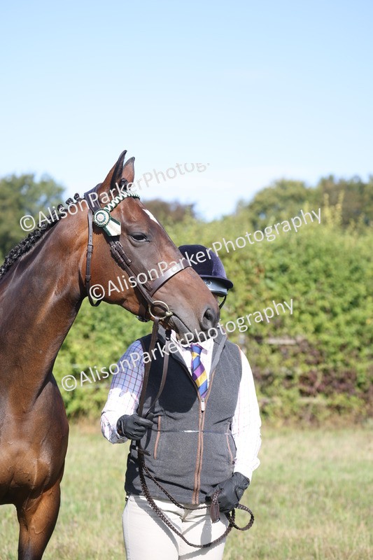 20260906-0697 - Class 22 - Ex Racehorse