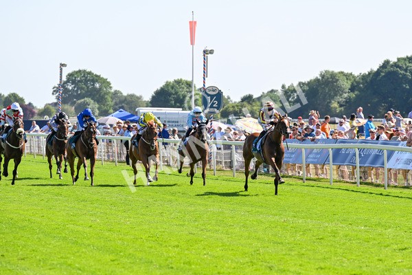 110725-Race 4-Dain Ma Nut In-0310 - Race 4 3.55pm Azets Handicap