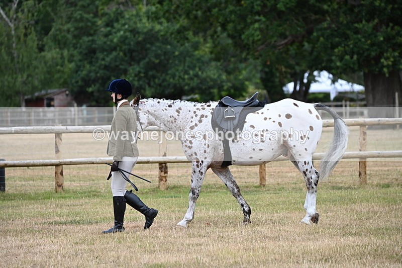 WJ6_3775 - Class 9 Tack & Turnout