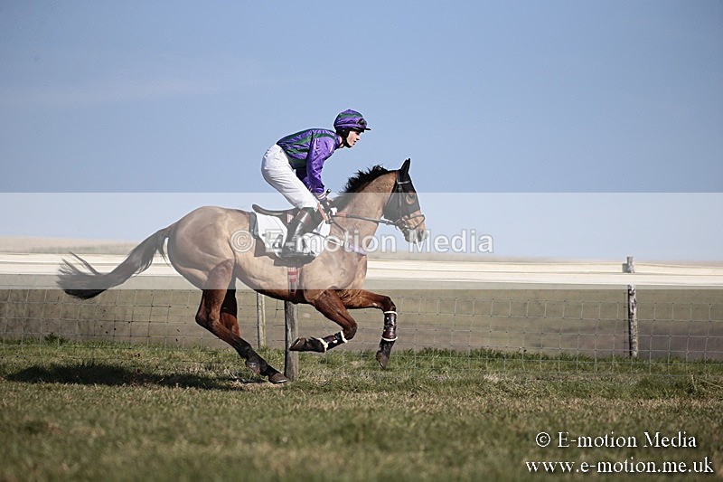 PtP 240218 227 - Vine & Craven Hunt Point-to-Point Barbury racecourse 24/02/18