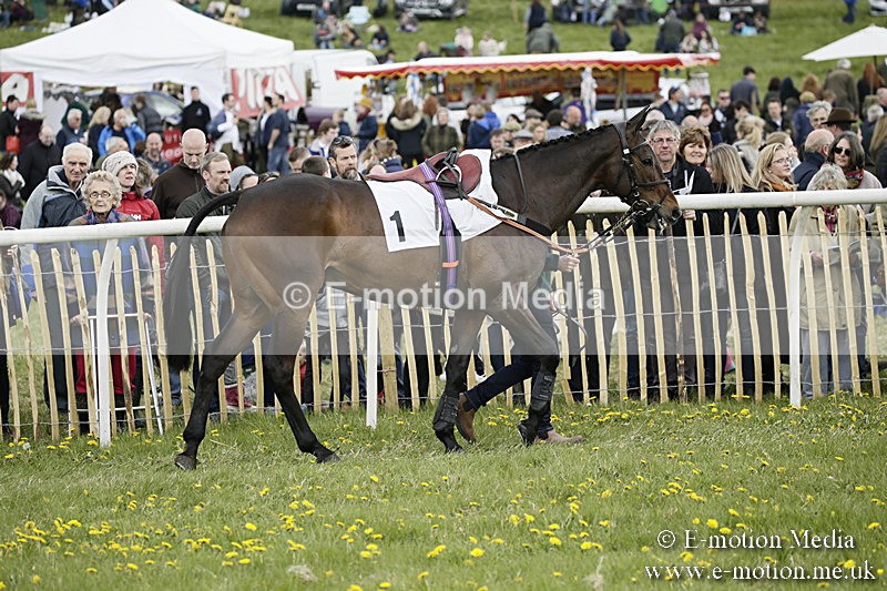 PtP 170417 116 - Old Berks Point-to-Point Lockinge 17/04/17