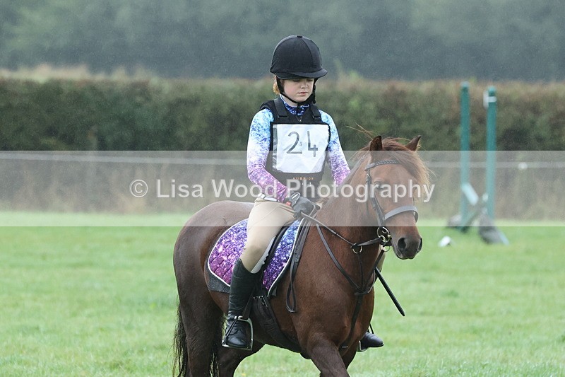 JPP_4946 - Class 1: 65cm : Showjumping