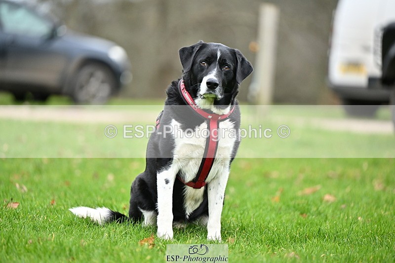 250201A-105919-00314 - Cls 02 Local Horse 100cm