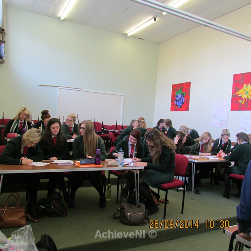  - Peer Mentoring 2014