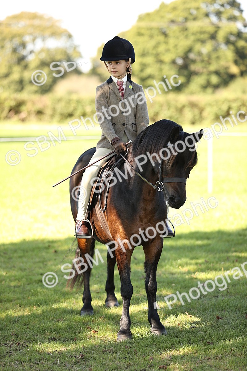 SBM_19197 - S3 - TSR Ridden Pony Showing