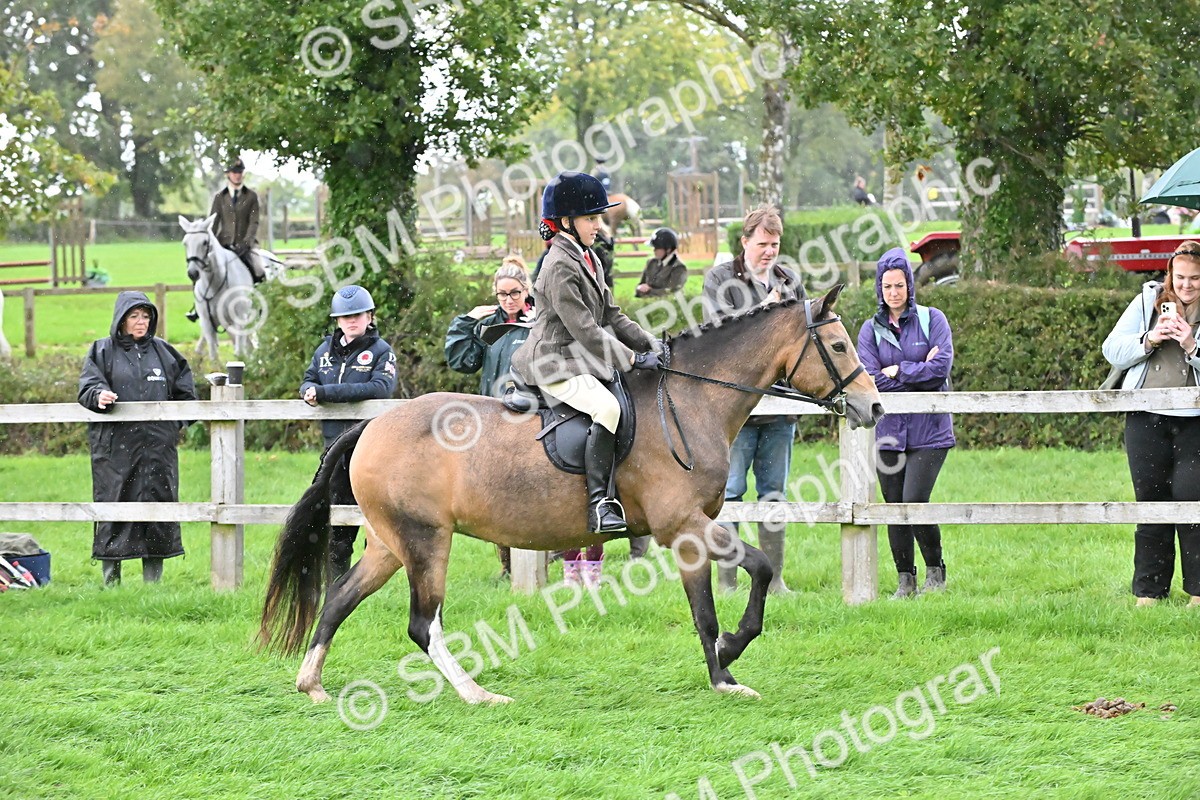 SBM_42949 - S12 - Family Horse & Pony