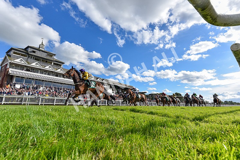 160624-Race 5-American Affair-2-2 - Race 5