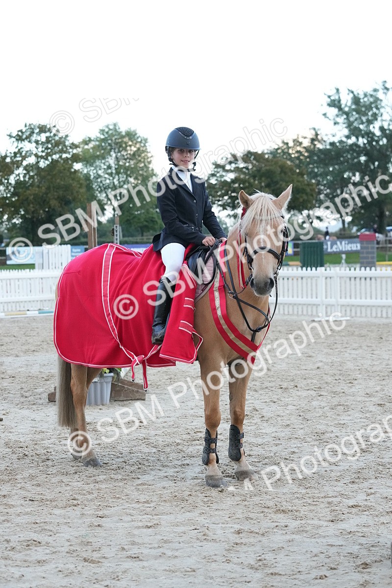 SBM_54223 - Supreme Championship 60cm 65cm