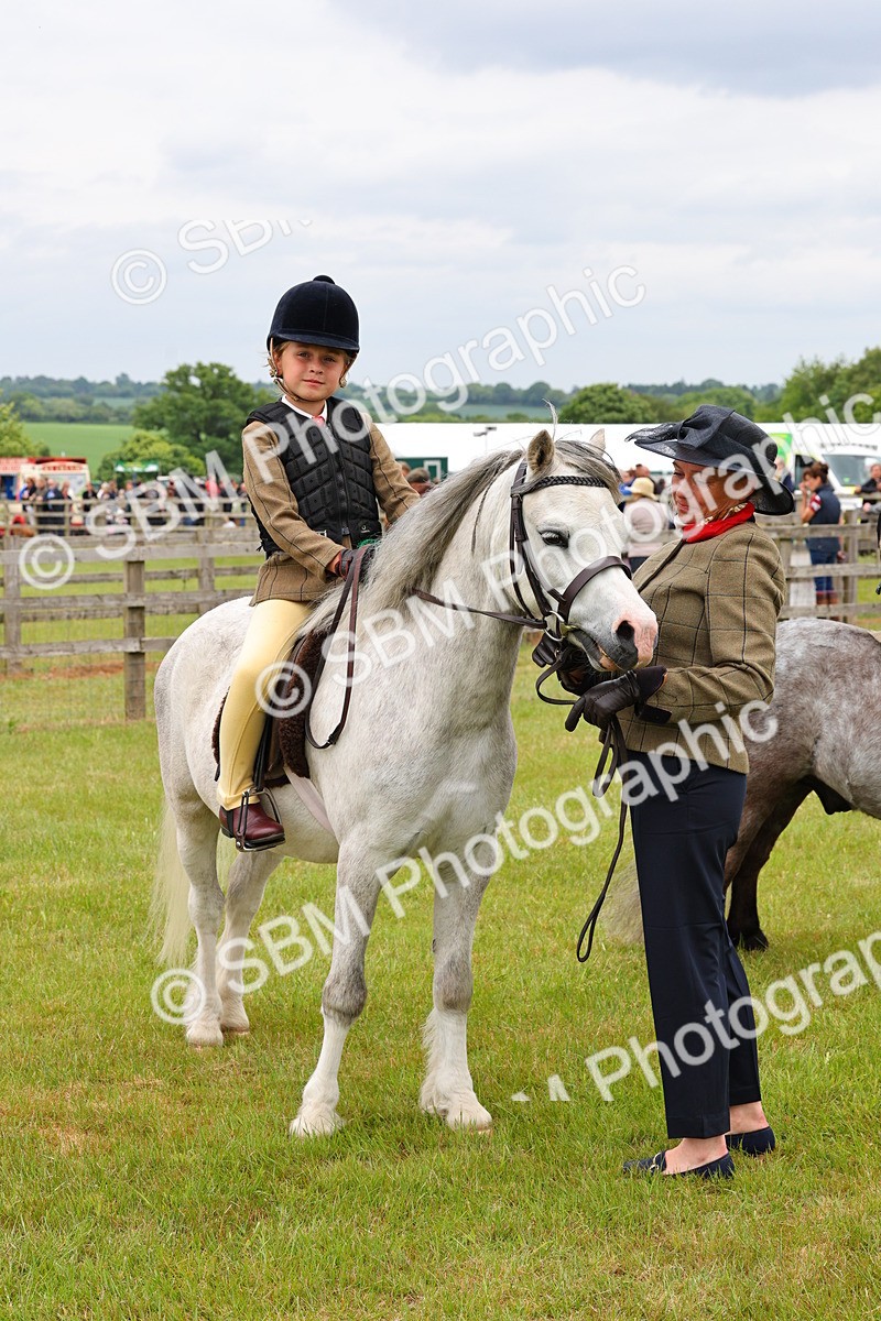 SBM_08380 - Class 42-43 - LIHS BSPS Heritage Working Sports Pony