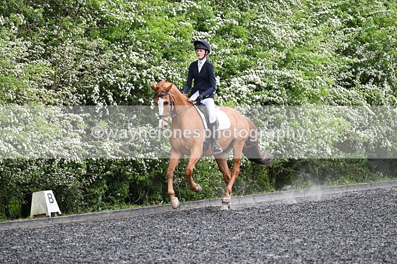 WJ7_1579 - Time 14:58 to 15:03