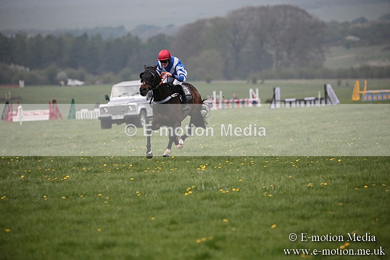 PtP 210418 89 - South & West Wilts Point-to-Point Larkhill 21/04/18