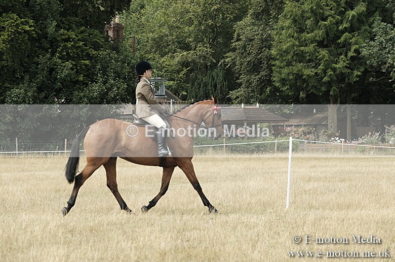 _PJP6050 - BVRC Show 2018 Ring 1