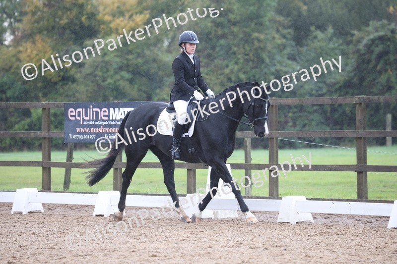 20261021-0772 - Class 6 - Novice 3