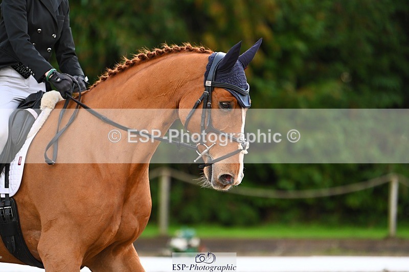 231021-092212-12519 - 223-RASCAL.ROULETTE-Charlotte.Byrnes-DR