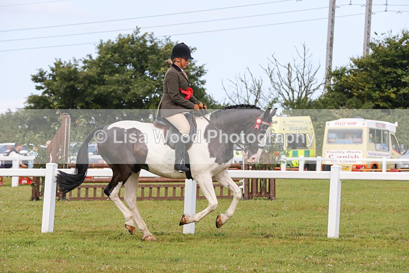 1X9A3089 - Class 26: Ridden Plaited Coloured Pony