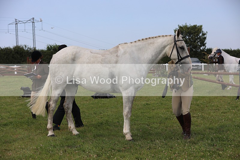 JPP_3928 - Class 23: Working Hunter 80cm