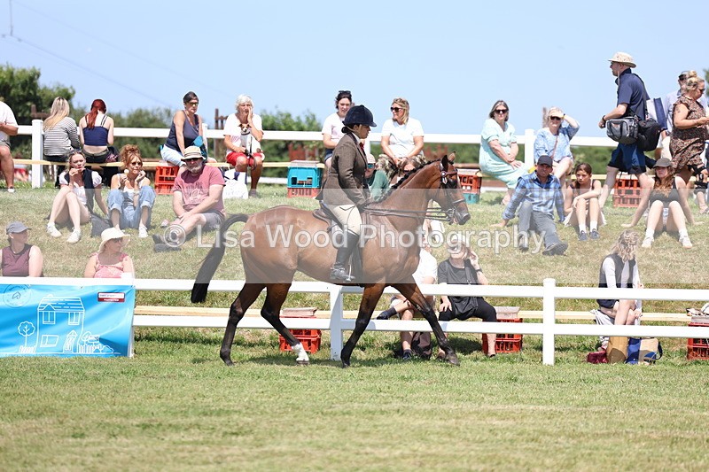 3E7A9285 - Class 12: Open Racehorse to Show Horse